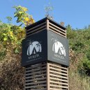 마이꾸따 이미지