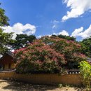 안동포 전시관 이미지