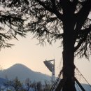 세븐일레븐 사직야구장본점 이미지