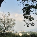 지양산숲길의특징 신정동둘레길 구로구숲길양천구숲길