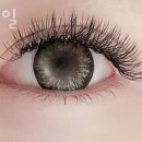 진네일 이미지