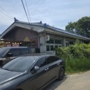 반월저수지 애견카페 추천｜군포 애견카페 비숲 강아지랑 뛰어놀기 좋은 곳