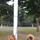 진도축산 이미지