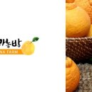 탐라미트