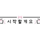 네일메이에르 이미지