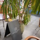 고담 꽃대패 이미지