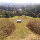 하연 선생 묘 이미지