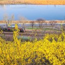 응봉개나리어린이공원 이미지