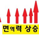 종오약국 이미지