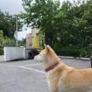 해변숲펜션 이미지