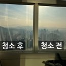 세종시 새샘마을 7단지 최고층 펜트하우스 유리창 청소 후기