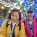 소나무공원 이미지