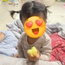 남도전통기정떡 | 쫄깃한 떡맛에 빠진 요즘, 기정떡 맛집으로 소문난 화순심은기정떡 인터넷주문 내돈내산 후기