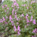 바울농장2 이미지