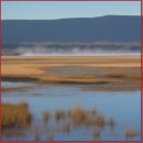 기능성 위장관 질환의 식이관리 | 위장질환의 효과적 증상관리 전략