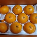 순연농장 이미지