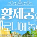 새땅농장 네이버블로그