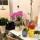 (주)범스 이미지