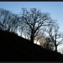 진주 김해김씨비각 이미지