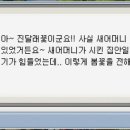 뮤즈랜드