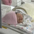 봄날처럼 | 세종 봄날 산후조리원 솔직 후기/2주 이용