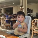 22일 세부여행 아기랑 한바다 선샤인호핑 후기, 마지막날