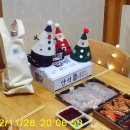 페트리코 이미지