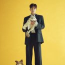 펫 투게더 이미지