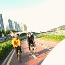 개샤방 이미지