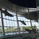 에스비 아쿠아 이미지