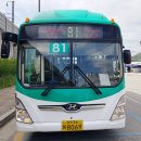 필라이브7080 네이버블로그