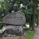 숲에서 이미지