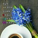 차한잔드세요 이미지