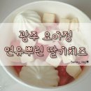 요거트아이스크림의 정석 북구점