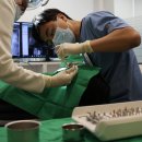 신림올바른치과의원 이미지