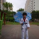 용인대 태권도 이미지