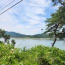 농암로(예안면) 이미지