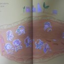 유치원북스