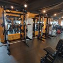 닥터바디 Daum카페