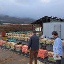 가축농장 이미지