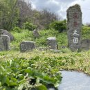 울릉천국아트센터 | [경상북도 울릉군] 울릉천국 아트센터(울릉천국)
