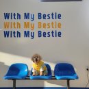 위드마이베스티 이미지