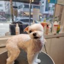 유스타 그루밍 이미지