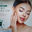 더디토