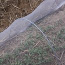 세원농장 이미지