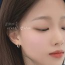 비비드아트
