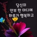 사월초등학교 이미지