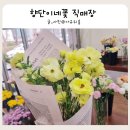 행복을주는꽃 | 호계동 꽃집 추천 봄을 선물하다 가성비 최고 향단이네꽃 직매장