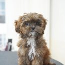 스위프트살롱 이미지