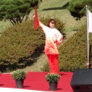 태극힐링 이미지